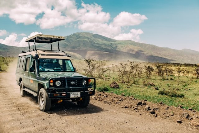 Safari & wildlife